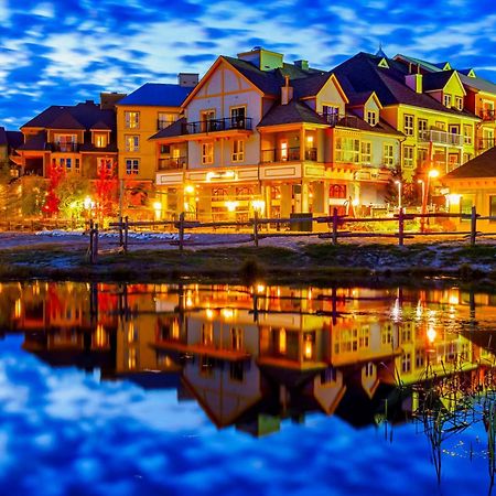 Wintergreen 218 Blue Mountains Luaran gambar