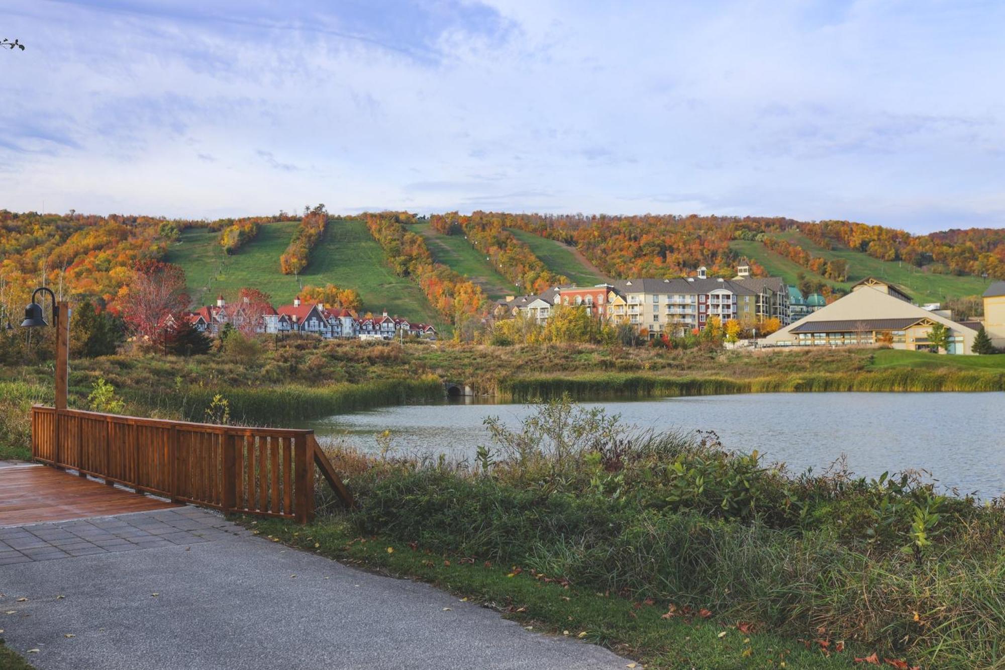 Wintergreen 218 Blue Mountains Luaran gambar
