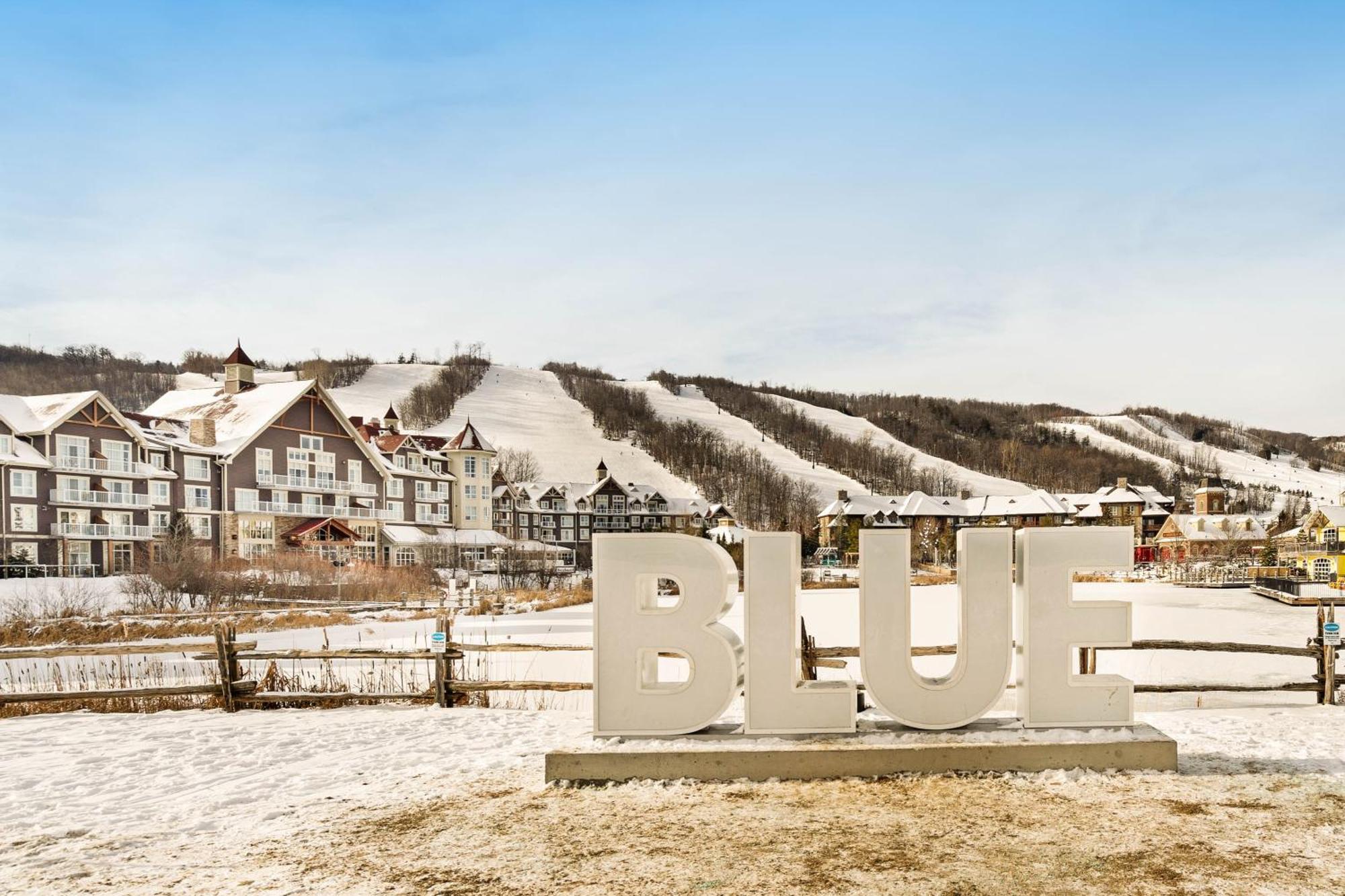 Wintergreen 218 Blue Mountains Luaran gambar